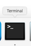 Terminal